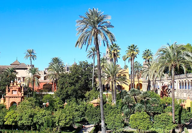 Der Jardín de las Damas mit hohen Palmen und ockerfarbenen und terrakottafarbenen Gebäuden